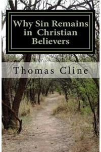 Why Sin Remains in Christian Believers