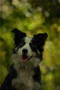 Border Collie: Border Collie: Journal/Notebook/Diary