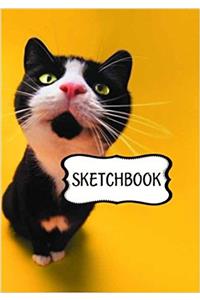 Bugging Cat Sketchbook