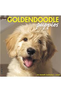 Just Goldendoodle Puppies 2020 Wall Calendar (Dog Breed Calendar)
