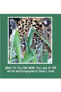 What Do You See When You Look at Me?