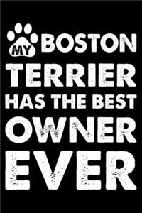 My Boston terrier Has The Best Owner Ever