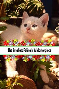 The Smallest Feline Is A Masterpiece