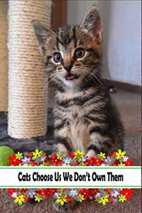 Cats Choose Us We Don't Own Them