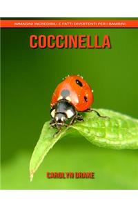 Coccinella