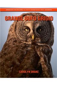 Grande gufo grigio