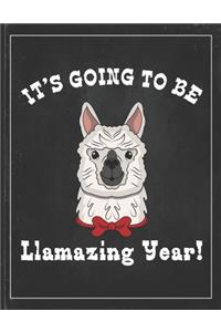 It's Going To Be Llamazing Year