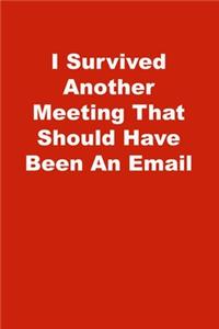 I Survived Another Meeting That Should Have Been An Email