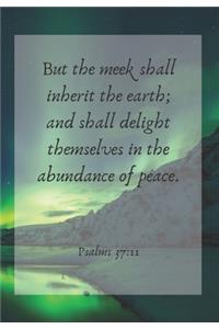 But the meek shall inherit the earth; and shall delight themselves in the abundance of peace.