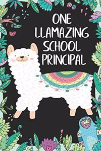 One llamazing School Principal