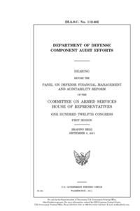 Department of Defense component audit efforts