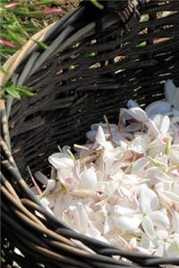 White Jasmine Blossoms in a Basket Journal