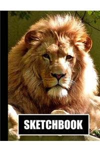 Sketchbook
