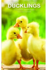 Ducklings 5 x 8 Weekly 2020 Planner