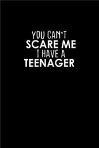 You Can't Scare Me I Have A Teenager