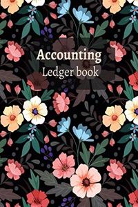 Accounting Ledger book