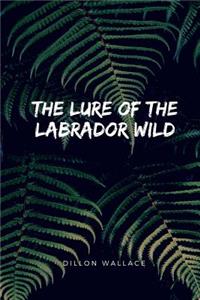 The Lure Of The Labrador Wild