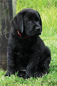 Black Lab Puppy Planner
