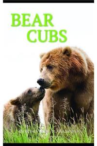 Bear Cubs Monthly Note Planner 2019 1 Year Calendar