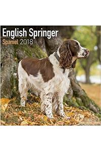English Springer Spaniel Calendar 2018