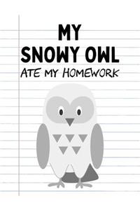My Snowy Owl Ate My Homework