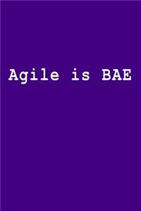 Agile Is Bae