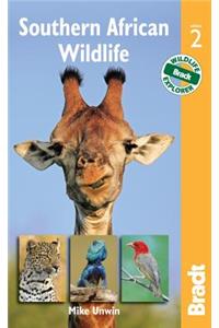 Southern African Wildlife