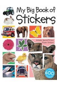 My Big Sticker Book