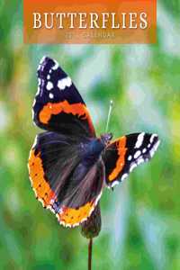 BUTTERFLIES 2023 SQUARE WALL CALENDAR