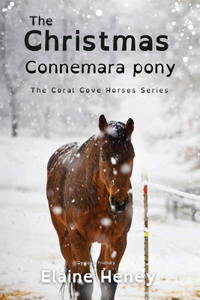 Christmas Connemara Pony - Dyslexia Friendly