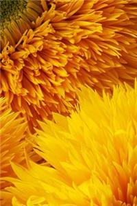 Sunflowers Notebook