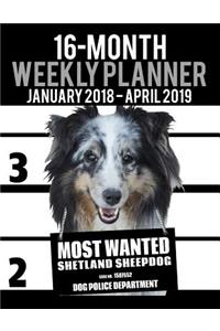 2018-2019 Weekly Planner - Most Wanted Shetland Sheepdog