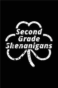 Second Grade Shenanigans