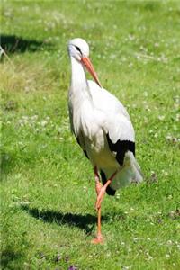 The White Stork Journal (Ciconia Ciconia): 150 Page Lined Notebook/Diary
