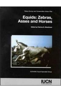 Equids: Zebras, Asses and Horses