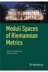 Moduli Spaces of Riemannian Metrics