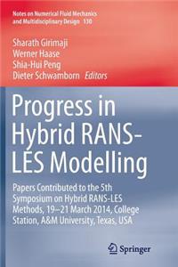 Progress in Hybrid Rans-Les Modelling