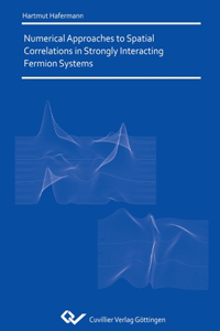 Numerical Approaches to Spatial Correlations in Strongly Interacting Fermion Systems