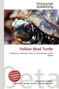 Yellow Mud Turtle