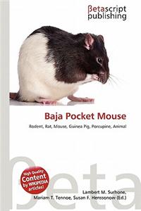Baja Pocket Mouse