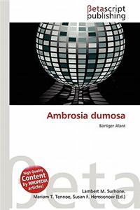 Ambrosia Dumosa