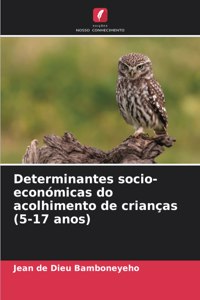 Determinantes socio-económicas do acolhimento de crianças (5-17 anos)