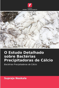 O Estudo Detalhado sobre Bactérias Precipitadoras de Cálcio