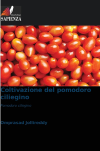 Coltivazione del pomodoro ciliegino