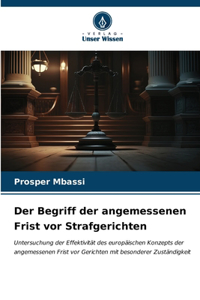 Der Begriff der angemessenen Frist vor Strafgerichten