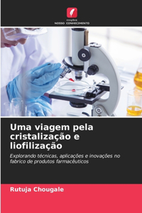 Uma viagem pela cristalização e liofilização