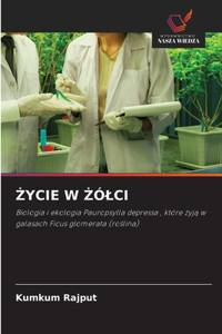Życie W Żólci