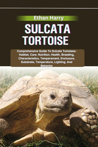 Sulcata Tortoise