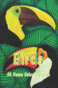 Birds At Home Coloring Book