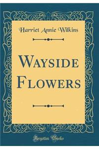 Wayside Flowers (Classic Reprint)